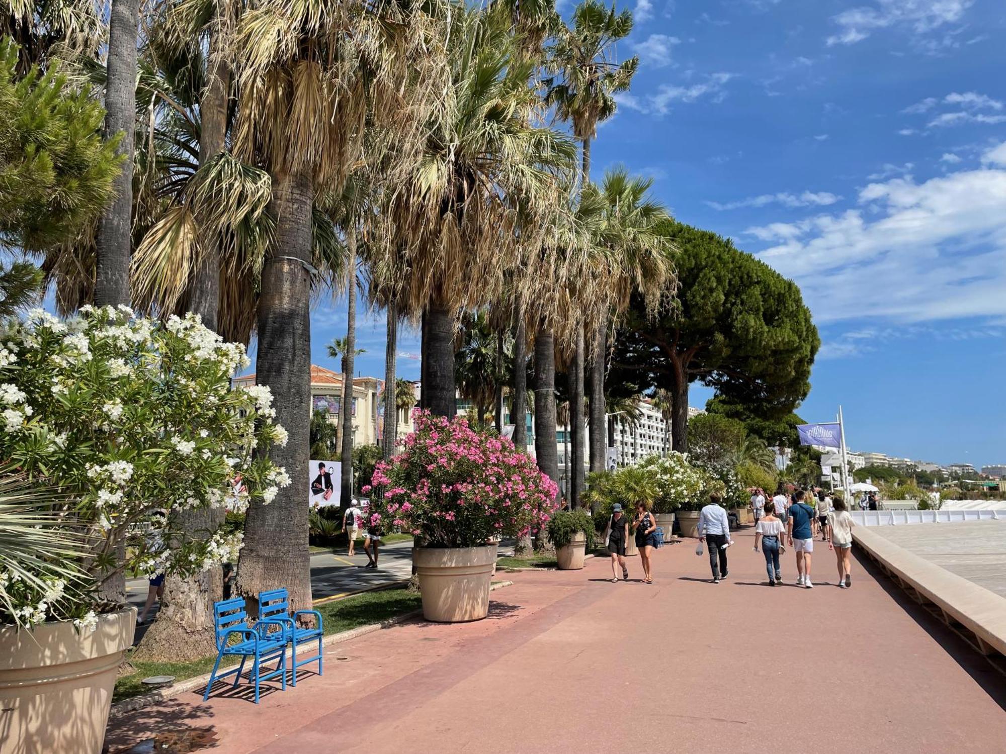 Beautiful Apartment Cannes Center Terrace Parking Ngoại thất bức ảnh